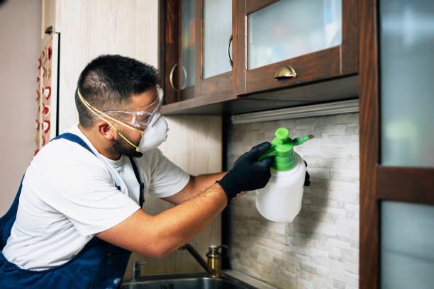 Best Commercial Pest Control Services  in Chandler, OK