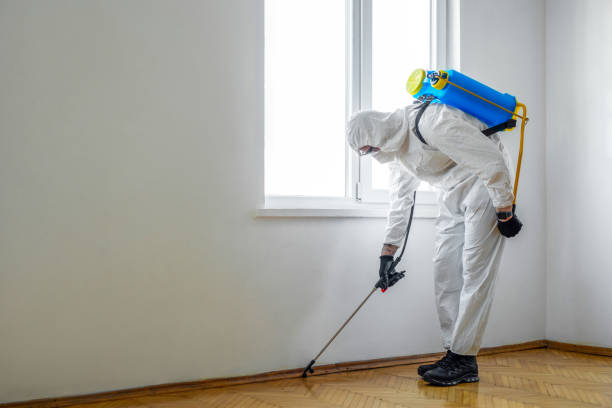 Best Flea Control Services  in Chandler, OK