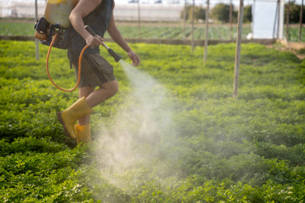 Best Pest Control Cost  in Chandler, OK