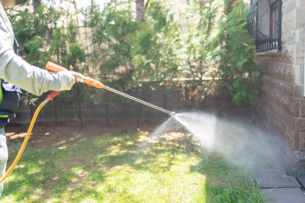 Best Local Pest Control Services  in Chandler, OK