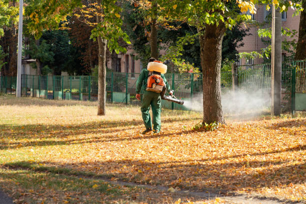 Best Affordable Pest Control Services  in Chandler, OK