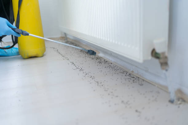 Best Bed Bug Extermination  in Chandler, OK